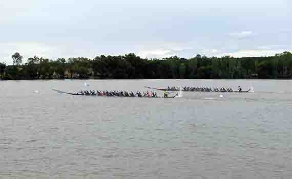 Course de longs bateaux (pirogues) sur le Mékong.