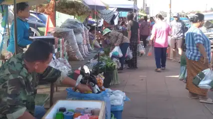 Le marché du mardi au centre ville