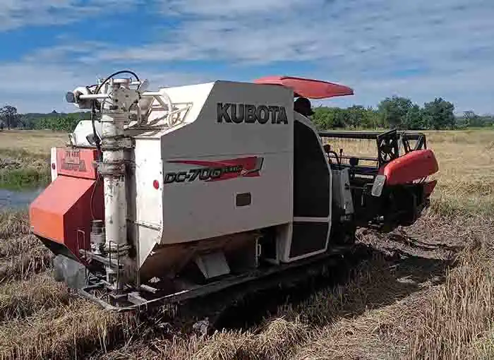 La récolte du riz, d’hier à aujourd’hui